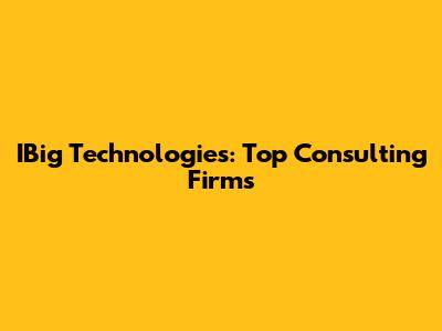 IBig Technologies: Top Consulting Firms
